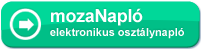 mozaNapl