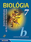 borító