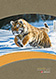 Napi határidőnapló 2021 - NaturLine Tigris 2020. évi NAPI beosztású B5-ös méretű (170 x 240 mm) határidőnapló. Prémium minőség, keménytáblás kötés, kellemes tapintású puha szivacskarton és karcmentes fólia borítás, dupla jelzőszalag. MS-8411C Napi határidőnapló 2021 - NaturLine Tigris 2020. évi NAPI beosztású B5-ös méretű (170 x 240 mm) határidőnapló. Prémium minőség, keménytáblás kötés, kellemes tapintású puha szivacskarton és karcmentes fólia borítás, dupla jelzőszalag. MS-8411C