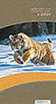 Zsebnaptár 2021 - NaturLine Tigris 2020-as naptári évre szóló zsebnaptár jelzőszalaggal. Keménytáblás kivitel, mérete: 86 x 160 mm. MS-8431C Zsebnaptár 2021 - NaturLine Tigris 2020-as naptári évre szóló zsebnaptár jelzőszalaggal. Keménytáblás kivitel, mérete: 86 x 160 mm. MS-8431C
