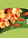 Tárgyalási napló - Naturline Virág A4-es méretű (205 x 285 mm) tárgyalási napló. Prémium minőség, keménytáblás kötés, kellemes tapintású puha szivacskarton és karcmentes fólia borítás, dupla jelzőszalag. MS-8461D
